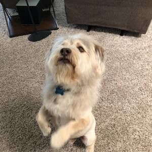 Meet your Posher, Nancy